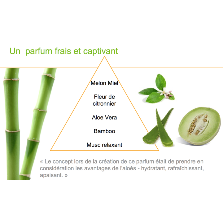 Shampoing Fortifiant Herbal Aloe - Herbalife