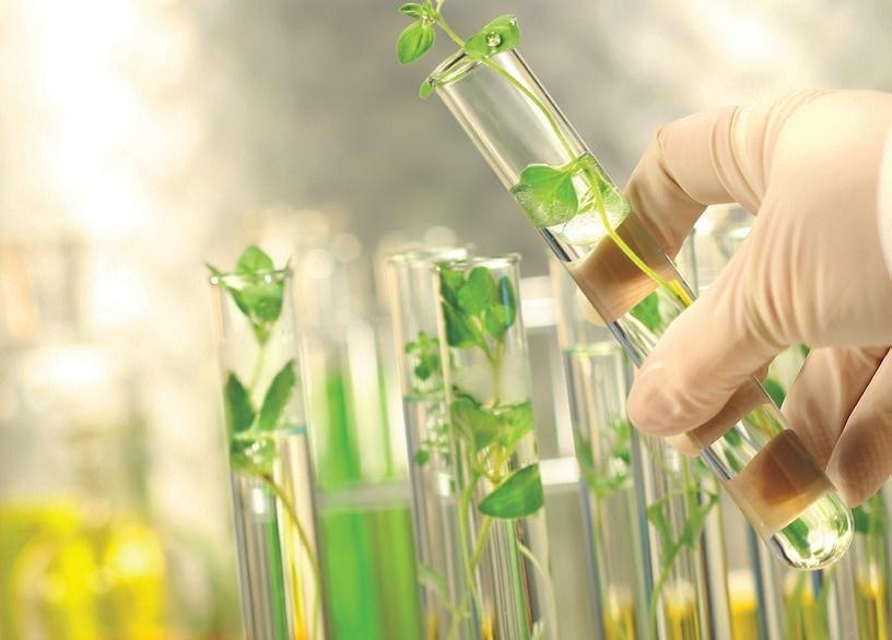 Herbalife science innovation